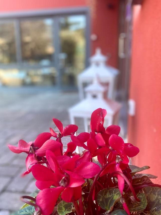 La Casina Rossa Affittacamere La Spezia Extérieur photo